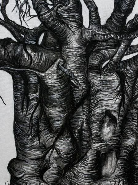 Baobab No. 1