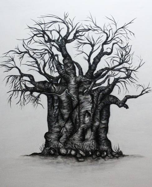 Baobab No. 3