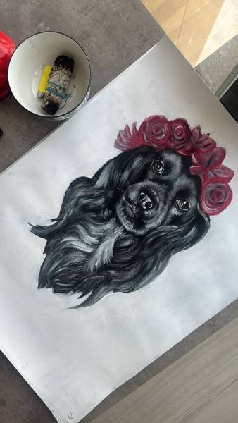 Dog Portraits